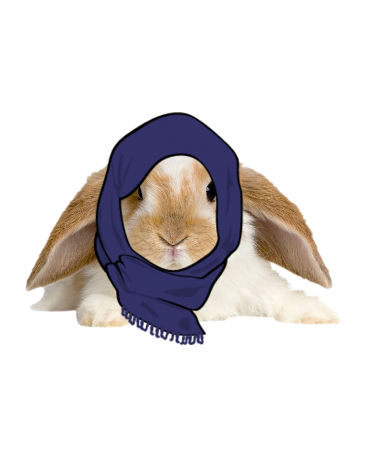 Bunny Babushka — Pranjal Surjan