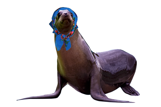 Sea Lion Babushka — Harjasdeep Singh